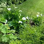 Bed & Breakfast La Ferme De Valeuse Morienval