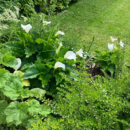 Frühstückspension La Ferme De Valeuse Morienval