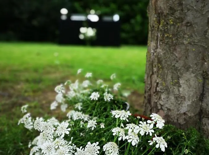 Bed & Breakfast La Ferme De Valeuse 3*