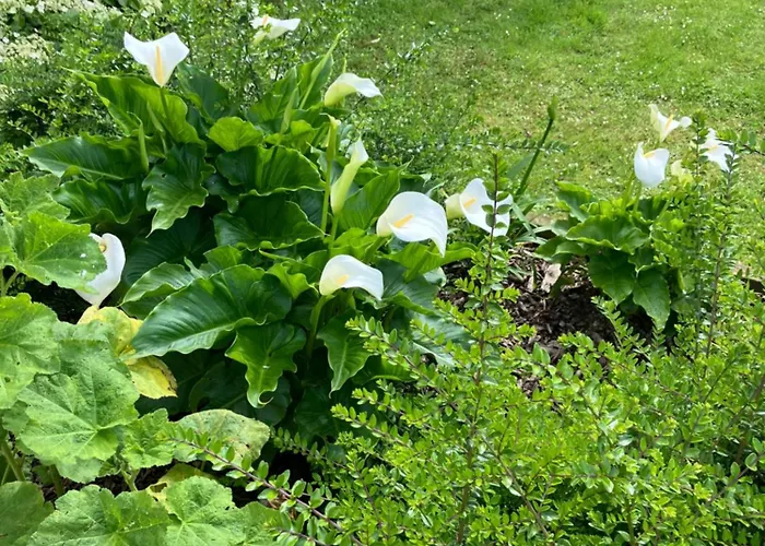 Bed & Breakfast La Ferme De Valeuse Morienval